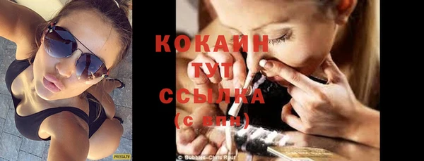 гидра Осинники