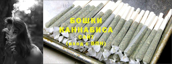 гидра Осинники