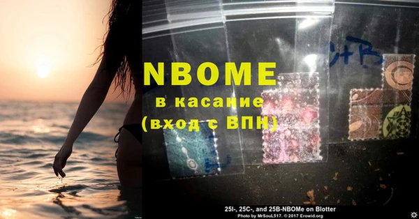 прущие грибы Зерноград